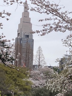 新宿2