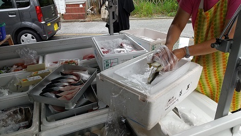 魚2