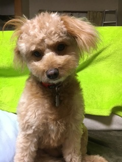 石川1image2