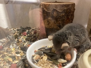 澤部2image1