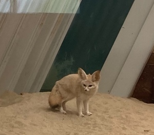 S__2228238_0_コピー_コピー