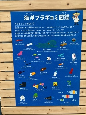 S__2228236_0_コピー