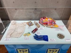 S__2228235_0_コピー