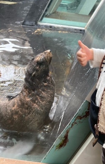 S__2228230_0_コピー_コピー