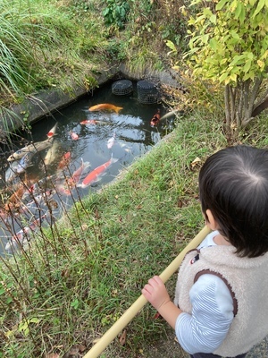 S__2228232_0_コピー_コピー