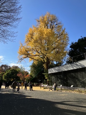 9B582AEF-48A8-46CC-88F9-10A9C84A3C39_コピー