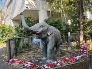 A621662C-4018-4943-BB78-18F2DFBECFFF_コピー