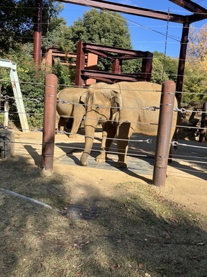 B3324D28-F714-4050-A0CB-8E53AE1977DD_コピー